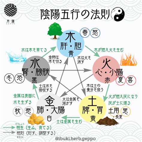 陰陽師 五行